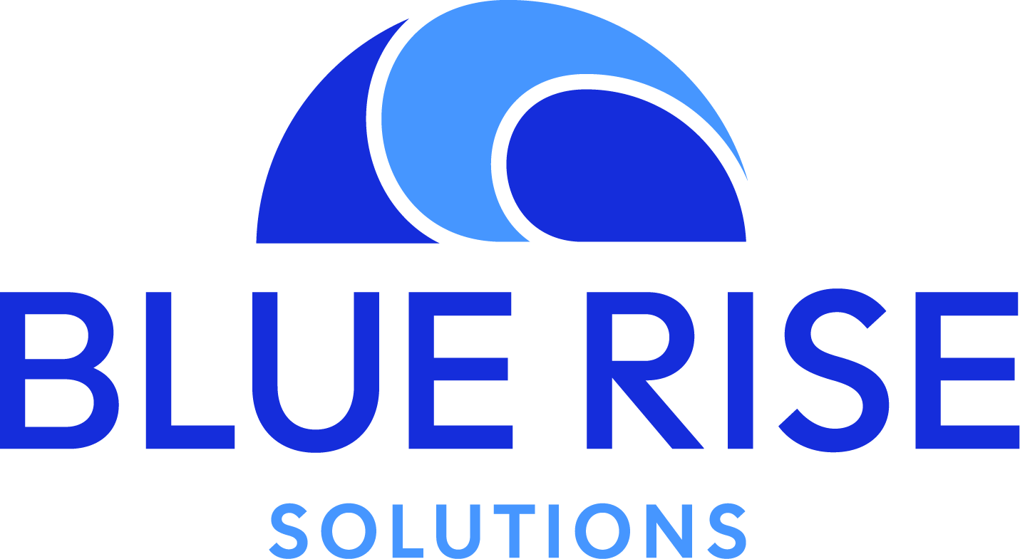 Blue Rise Solutions Blue Rise Solutions logo